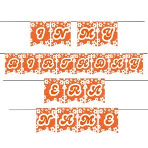 Personalized Daisy Birthday Era Banner with custom name on pastel pink background with white daisies 2 flags per A4 page